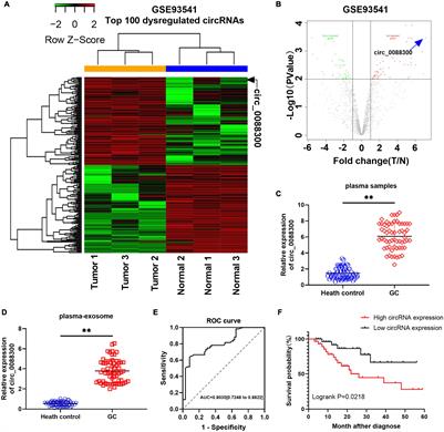 Exosomal circ_0088300 Derived From Cancer-Associated Fibroblasts Acts as a miR-1305 Sponge and Promotes Gastric Carcinoma Cell Tumorigenesis